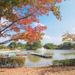 海の中道海浜公園の紅葉の写真