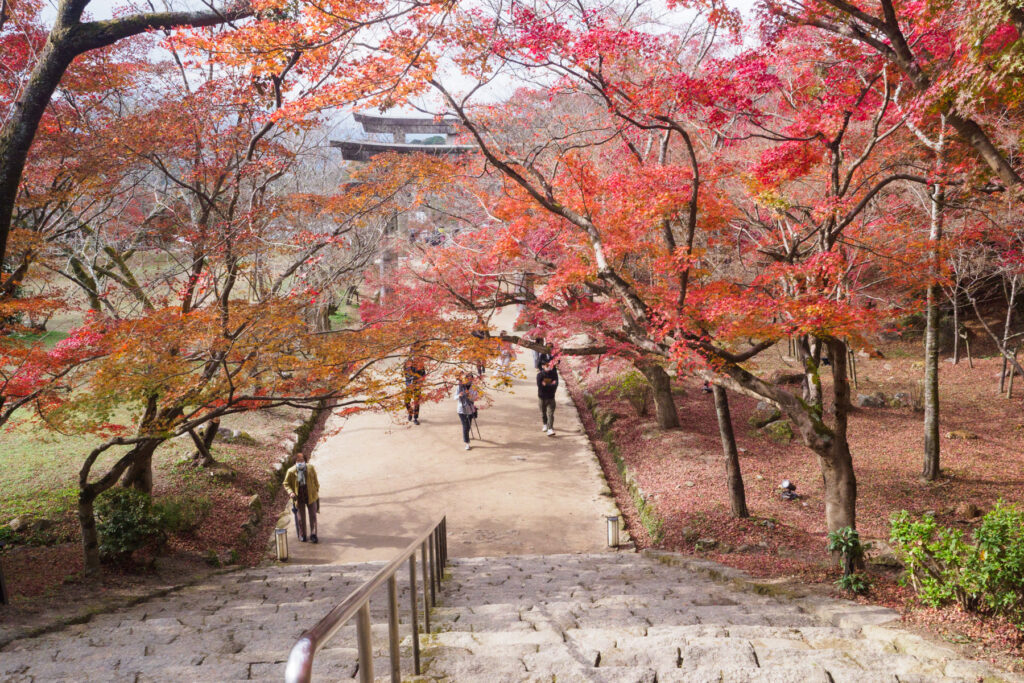 竈門神社の紅葉の写真