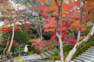 竈門神社の紅葉の写真