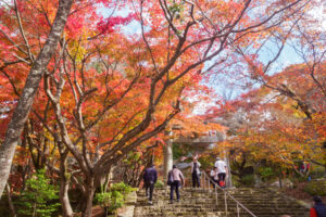 竈門神社の紅葉の写真