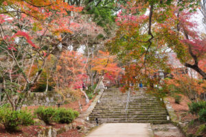 竈門神社の紅葉の写真