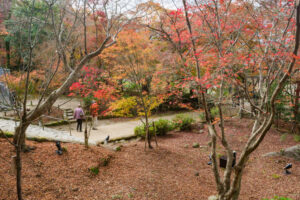 竈門神社の紅葉の写真