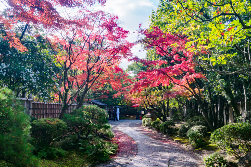 友泉亭公園の紅葉の写真
