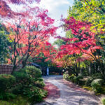 友泉亭公園の紅葉の写真