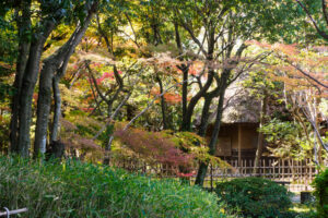 友泉亭公園の紅葉の写真