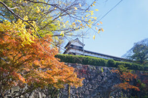 舞鶴公園の紅葉の写真