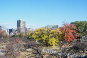 舞鶴公園の紅葉の写真