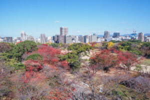 舞鶴公園の紅葉の写真