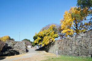 舞鶴公園の紅葉の写真