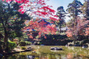 友泉亭公園の紅葉の写真