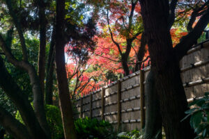 友泉亭公園の紅葉の写真