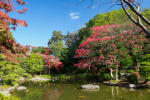 友泉亭公園の紅葉の写真