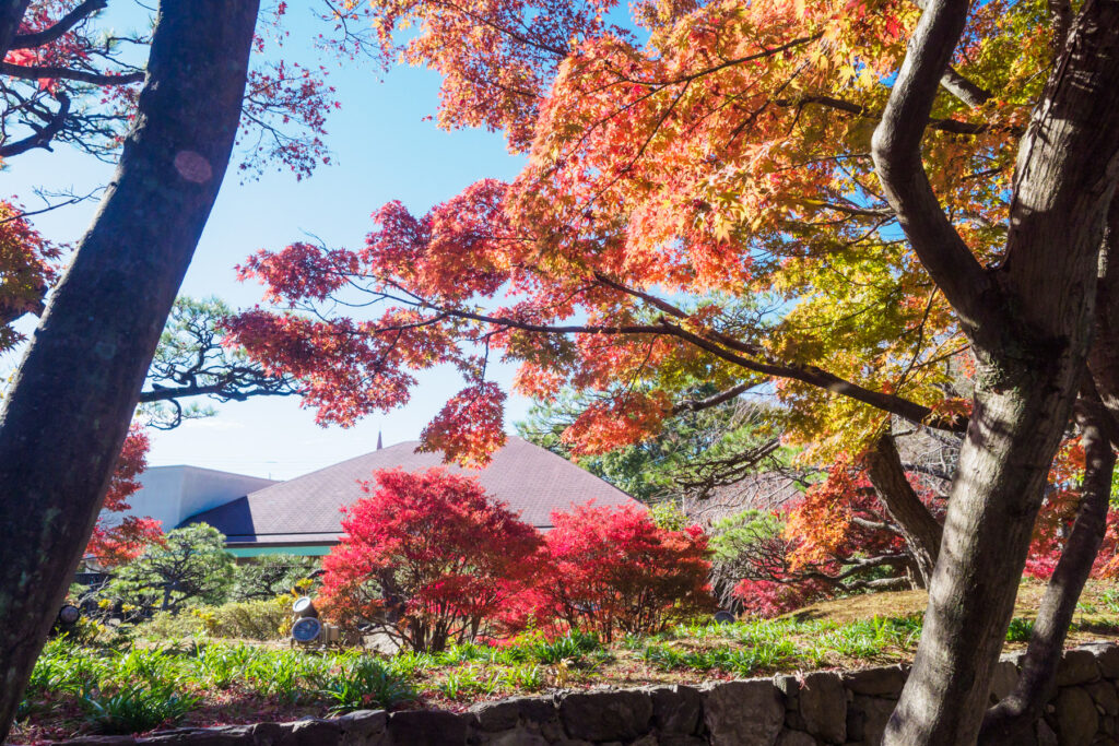 筥崎宮花庭園の紅葉の写真