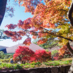 筥崎宮花庭園の紅葉の写真