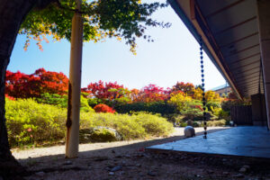 筥崎宮花庭園の紅葉の写真