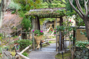 筥崎宮花庭園の冬ぼたんの写真