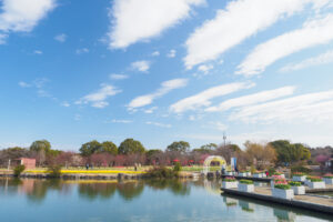 海の中道海浜公園の梅の写真
