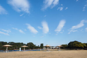 海の中道海浜公園の園内の写真