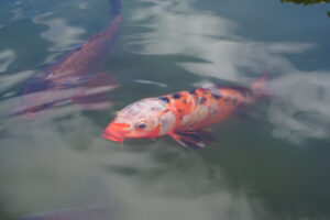 海の中道海浜公園の園内の写真