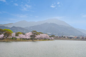 駕与丁公園の桜の写真
