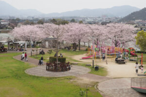 駕与丁公園の桜の写真