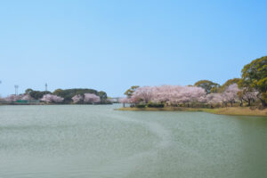 駕与丁公園の桜の写真