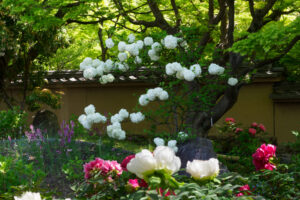 筥崎宮花庭園の季節の花の写真