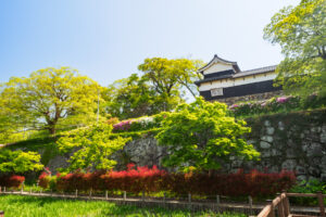 舞鶴公園の新緑の写真