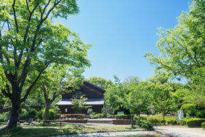 石橋文化センターの新緑の写真