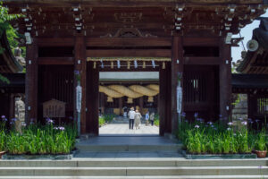 宮地嶽神社の花菖蒲の写真