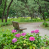 紫陽花と季節の花　海の中道海浜公園（2022年6月22日）