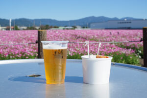 キリンビール福岡工場のコスモスの写真