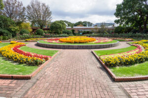 福岡市植物園の季節の花の写真
