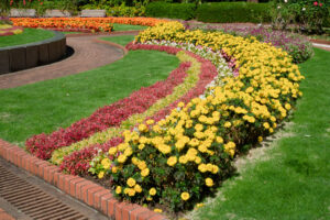 福岡市植物園の季節の花の写真