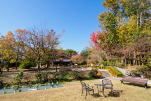 石橋文化センターの紅葉の写真