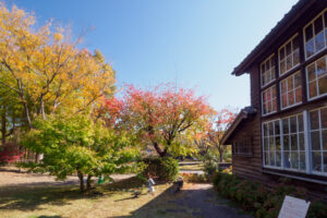 石橋文化センターの紅葉の写真