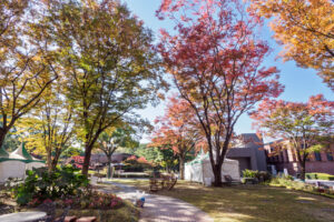 石橋文化センターの紅葉の写真