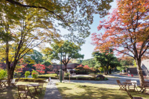 石橋文化センターの紅葉の写真