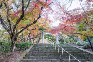 竈門神社の紅葉の写真