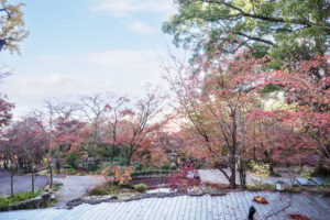竈門神社の紅葉の写真