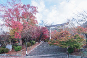 竈門神社の紅葉の写真