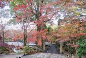 竈門神社の紅葉の写真