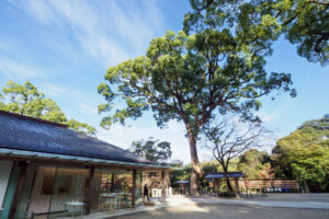 竈門神社の紅葉の写真