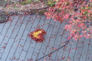 竈門神社の紅葉の写真