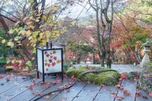 竈門神社の紅葉の写真