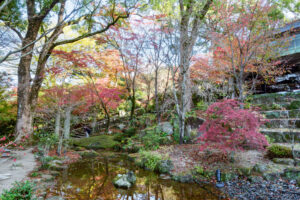 竈門神社の紅葉の写真