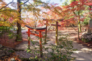 竈門神社の紅葉の写真