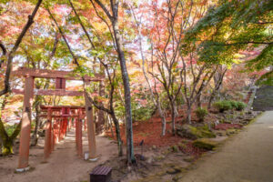 竈門神社の紅葉の写真