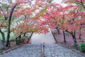 竈門神社の紅葉の写真