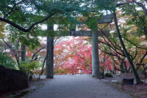 竈門神社の紅葉の写真